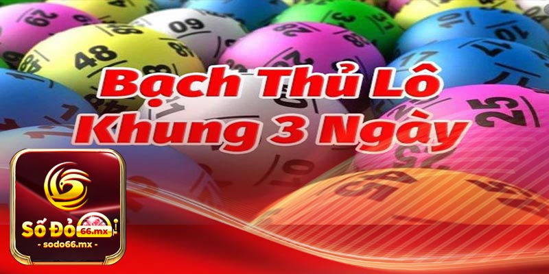 Bạch Thủ Lô Khung 3 Ngày