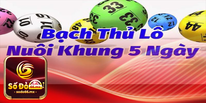 Giới thiệu về bạch thủ lô khung 5 ngày