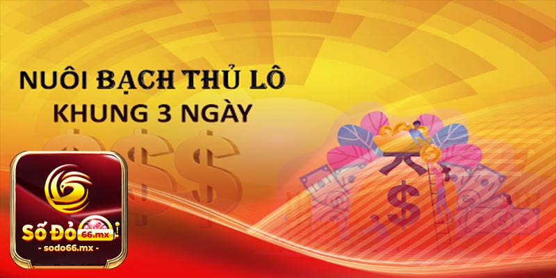 Khái niệm của bạch thủ lô khung 3 ngày là gì?