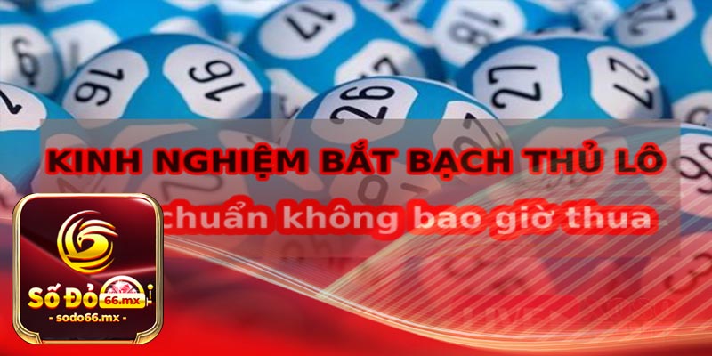 Những Công Thức Phổ Biến của Bạch Thủ Lô