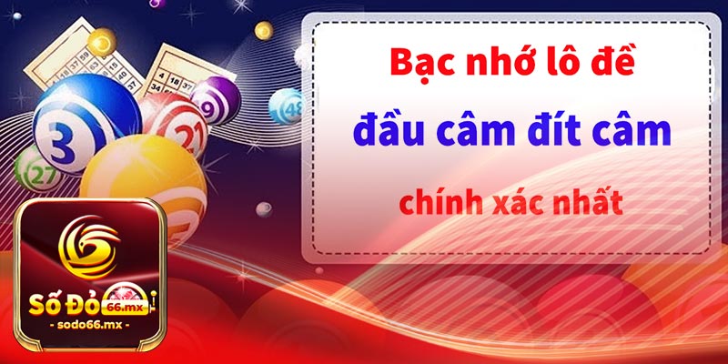 Soi cầu 247 bạc nhớ theo phương pháp đầu đít câm