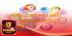 Bạch thủ lô khung 5 ngày